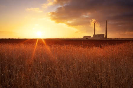 Beautifull landscape with thermal power plant, reeds and sunset sky.