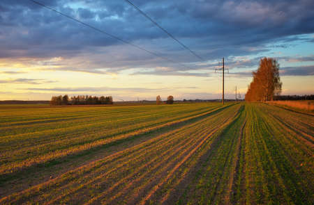 Beautiful evening landscape. Field near the town at sunset.