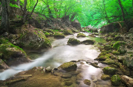 A stream of water in forest and mountain terrainの写真素材