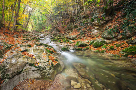 Beautiful autumn landscape with mountain river and colorful trees with green, red, yellow and orange leaves. Mountain forest in Crimea.の写真素材