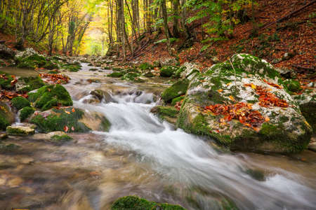 Beautiful autumn landscape with mountain river and colorful trees with green, red, yellow and orange leaves. Mountain forest in Crimea.の写真素材