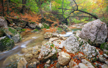 Beautiful autumn landscape with mountain river and colorful trees with green, red, yellow and orange leaves. Mountain forest in Crimea.の写真素材