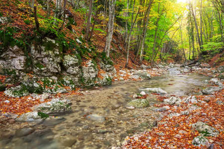 Beautiful autumn landscape with mountain river and colorful trees with green, red, yellow and orange leaves. Mountain forest in Crimea.の写真素材