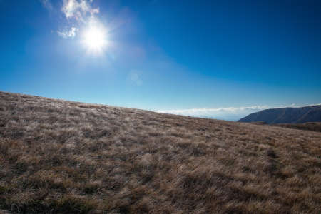 Winter hill nature composition. Element of design.の写真素材
