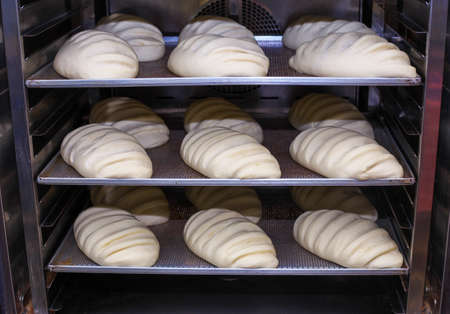 Raw bread on a baking sheet ready for baking. Preparation for a bread baking.の写真素材