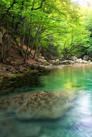 River deep in mountain at summer. Water stream at forest. Composition of natureの写真素材