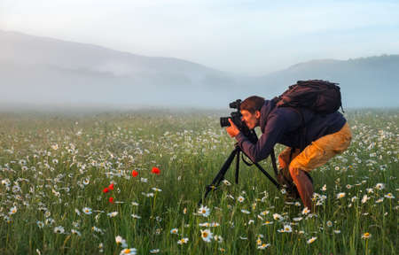 Photographer takes a pictures of a field with chamomiles during sunriseの写真素材