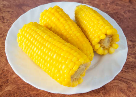 Cooked boiled corn on a white plateの写真素材