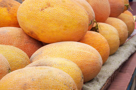 Yellow tasty juicy melons on the market. Fruit backgroundの写真素材