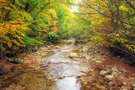 Beautiful autumn landscape with mountain river. Forest in Crimea.の写真素材