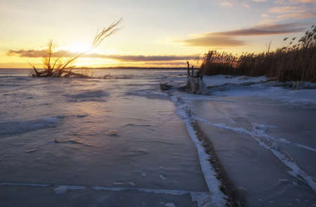 Winter landscape with snag on the frozen lake near the shoreの写真素材