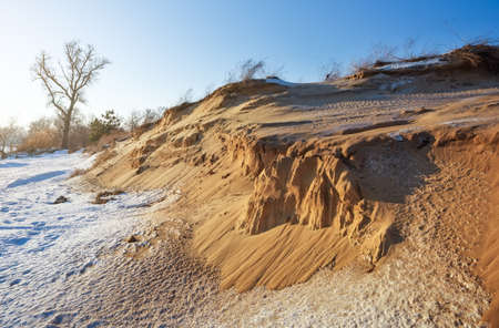 Frozen sand dunes on sea coast with trees and blue sky in the background at sunset. Winter landscapeの写真素材