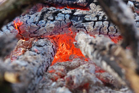 Fire flames of a bonfire in fireplace. Coals close-up.の写真素材