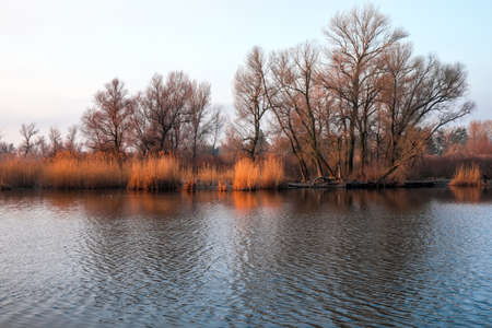 Scenic view with reflection on the lake. Pond early in the morning