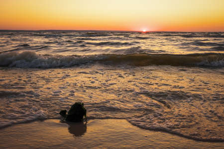 Beautiful landscape with sea, sunset and driftwood. Composition of natureの写真素材