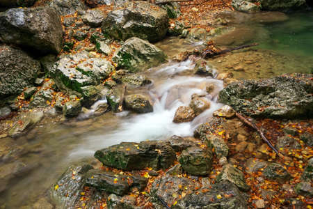 Beautiful autumn landscape with mountain river and colorful trees with green, red, yellow and orange...