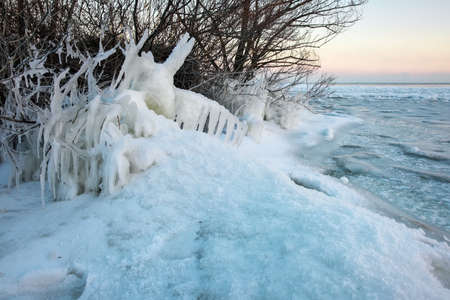 Icicles and icy frozen branches of tree at the coast. Beautiful winter scene.の写真素材