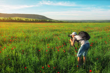 Photographer taking pictures of field with poppies during sunsetの写真素材