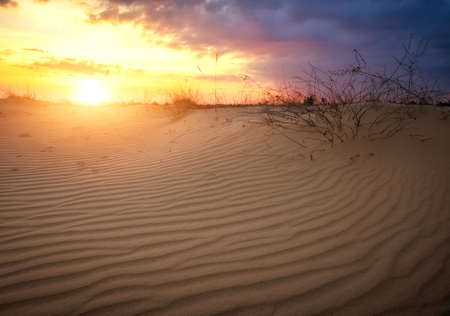 Beautiful Landscape with sunset sky and wavy sand. Composition of natureの写真素材