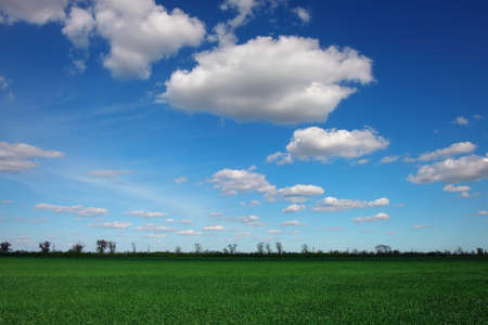 Beautiful landscape with an amazing blue cloudy sky and green grassの写真素材