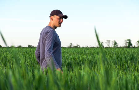 Handsome farmer. Young man walking in green field. Spring agriculture