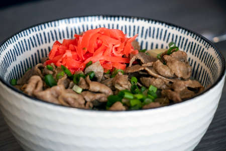 Gyudon - traditional Japanese rice bowl dish. Asian Cuisine. Donburi
の写真素材