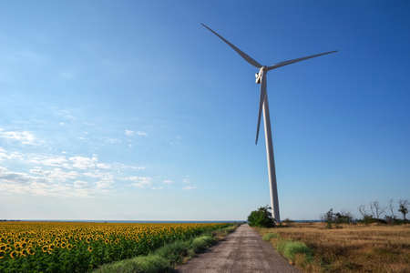 Wind turbines and agricultural field on a summer cloudy day. Energy production, clean and renewable energy.の写真素材
