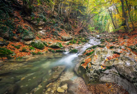 Amazing Autumn landscape. River in colorful autumn park with yellow, orange, red, green leaves. Golden colors in the mountain forest with a small stream. Season specific. の写真素材
