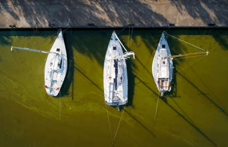 Pier with boats, marina lot. Aerial top view from drone. Green water due to seaweedの写真素材