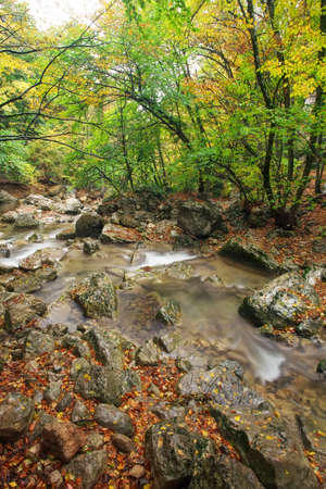 Amazing Autumn landscape. River in colorful autumn park with yellow, orange, red, green leaves. Golden colors in the mountain forest with a small stream. Season specific. の写真素材