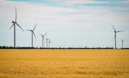 Wind turbines and agricultural field on a summer day. Energy production, clean and renewable energy.
の写真素材