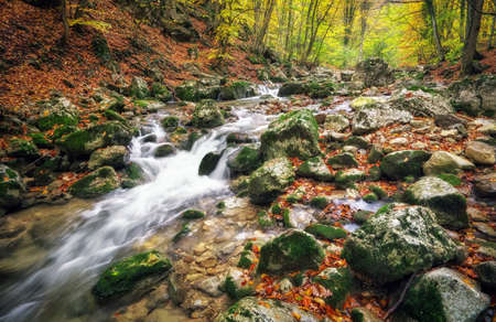 Amazing Autumn landscape. River in colorful autumn park with yellow, orange, red, green leaves. Golden colors in the mountain forest with a small stream. Season specific. の写真素材