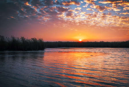 Beautiful Winter landscape with river, reeds and sunset sky. Composition of nature.の写真素材