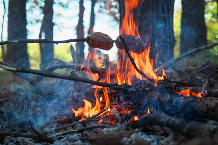 Fry sausages in nature. Barbecue and kebabs in travel. Leisure. Camping in the forest, touristic...