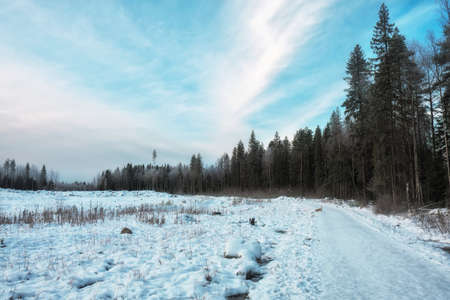 Winter scene: road and forest with hoar-frost on treesの写真素材