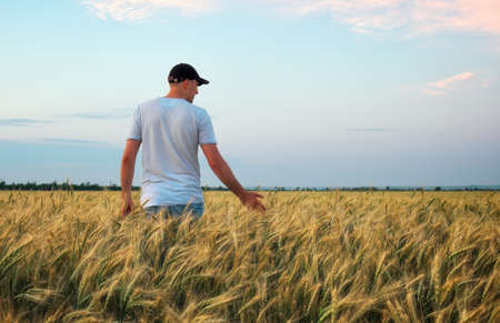 Male farmer standing in a wheat field during sunset. Man Enjoys Natureの写真素材