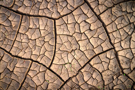 Dried cracked earth soil ground texture background. Mosaic patternの写真素材