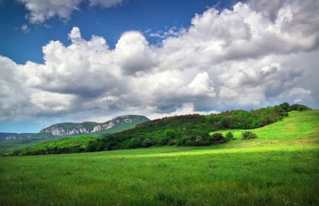 Green meadow in mountain. Composition of nature.の写真素材