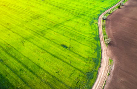 Aerial view of agricultural fields and road. Rainy weather. Natural grass.の写真素材