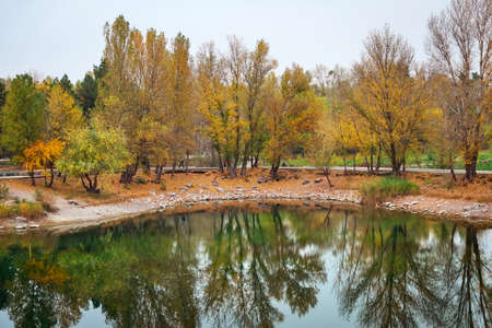 Beautiful landscape. Autumn trees on the coast of a riverの写真素材