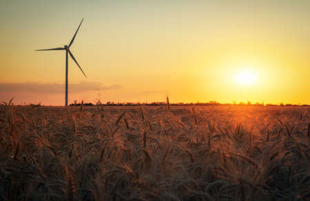 Wind turbines and agricultural field on a summer day. Energy production, clean and renewable energy.
の写真素材