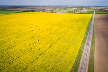 Aerial view of fields during springtime: canola fields, forest trees and villagesの写真素材