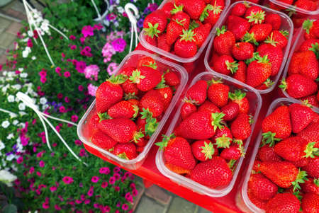Tasty juicy strawberry berries in boxes, on the market and flowersの写真素材