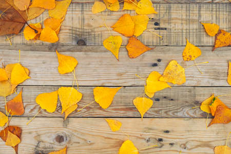 Autumn leaf on wood black background (top view)