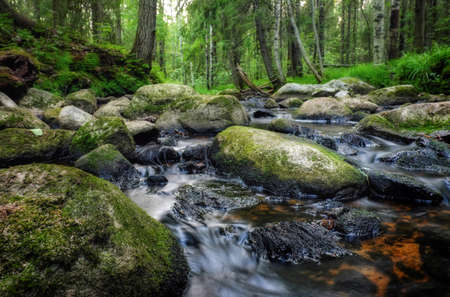 Forest river creek water flow. Beautiful landscapeの写真素材