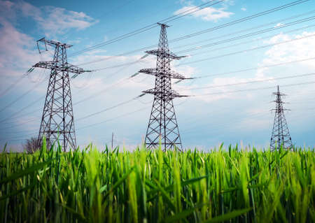 High voltage lines and power pylons in a flat and green agricultural landscape on a sunny day with clouds in the blue sky. Cloudy and rainy. Wheat is growingの写真素材