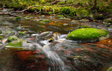 Forest river creek water flow. Beautiful autumn landscape with stones and flowing water at cloudy weatherの写真素材