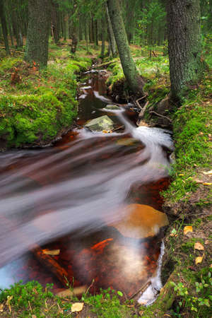 Forest river creek water flow. Beautiful autumn landscape with trees, stones and flowing water at cloudy weatherの写真素材