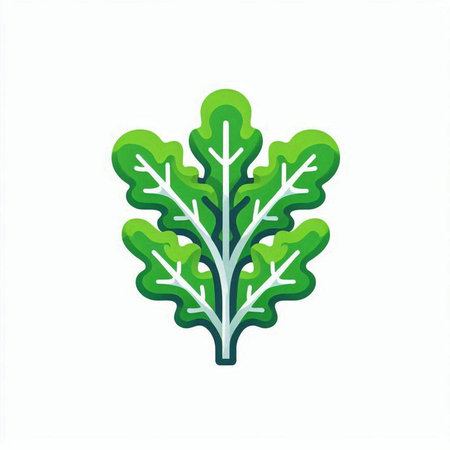 Lettuce icon. Isolated on white background. Vector illustration.のイラスト素材