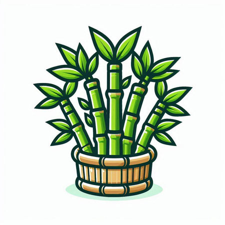 Bamboo plant in a pot isolated on white background. Vector illustration.のイラスト素材